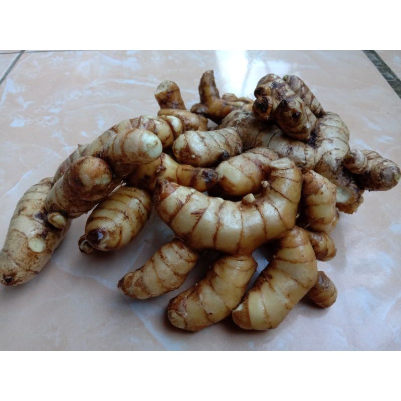 

TERBAIK KUNYIT TEMU PUTIH SEGAR 500G CURCUMA ZEDOARIA HERBAL KANKER cod . ready READY