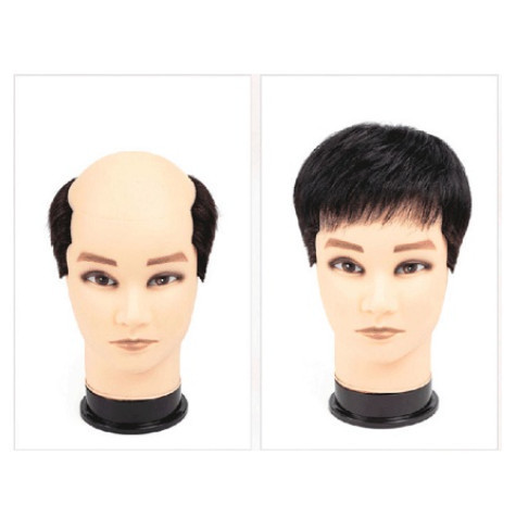 Wig Pria - Wig Pria Botak - Hair Men Wigs Short