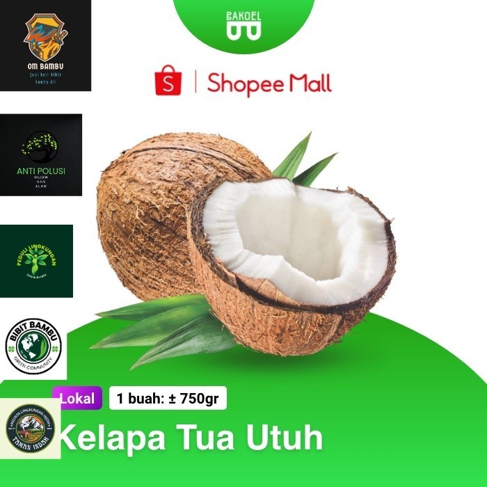 

Kelapa Tua Utuh - Bakoel Sayur Online