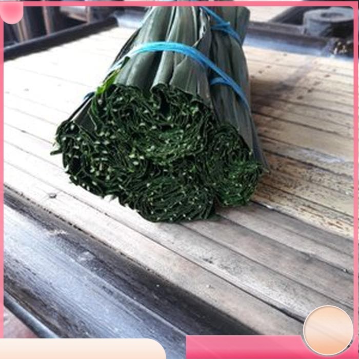 

Daun Pinang Segar 800 gram - GRATIS akar pinang Limited Kualitas Terbaik