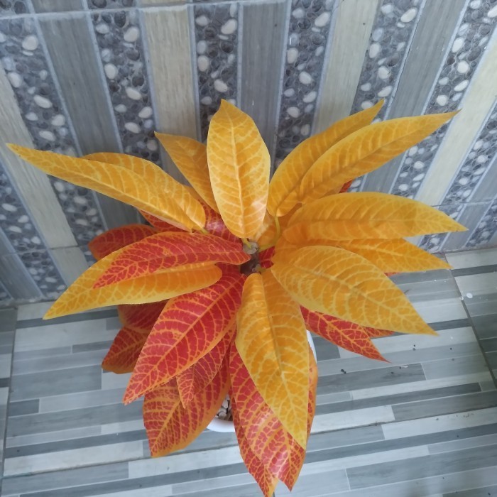 pohon puring plastik, pohon plastik, tanaman plastik, pohon artificial