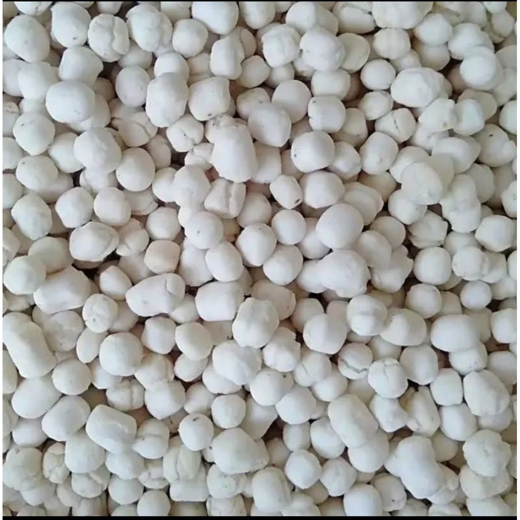 

Pilus Tiktak Kencur / Pilus Cikur Kemasan 500gr