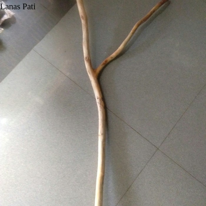 

ranting kayu jati cabang 50 cm - ranting kayu macrame XD4