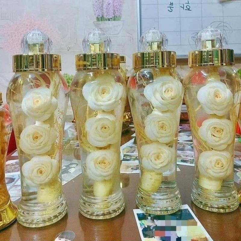 

Ginseng Korea Bunga Mawar - Anugrah Megah