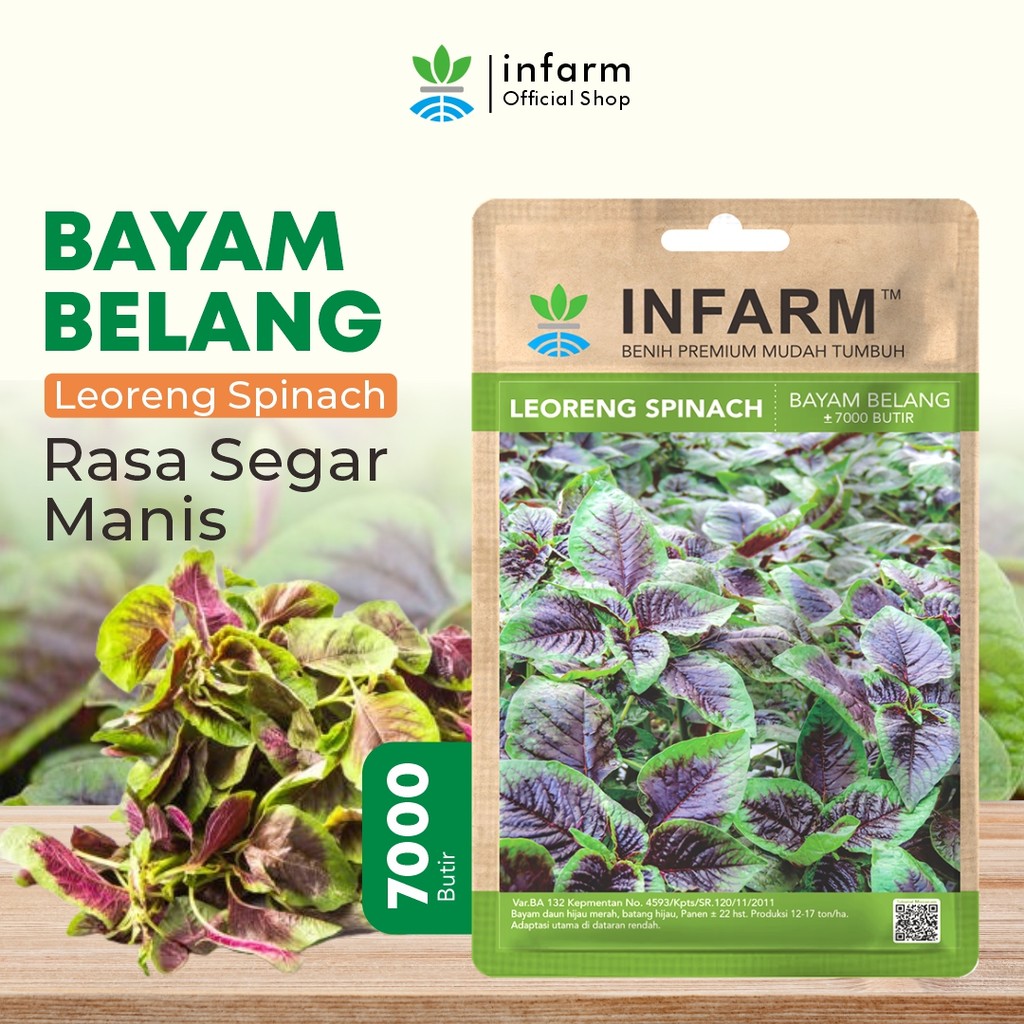INFARM-Benih Bibit Sayur Bayam Benih Sayuran Bayam Loreng Bibit Sayur Sayuran Segar Benih Sayur