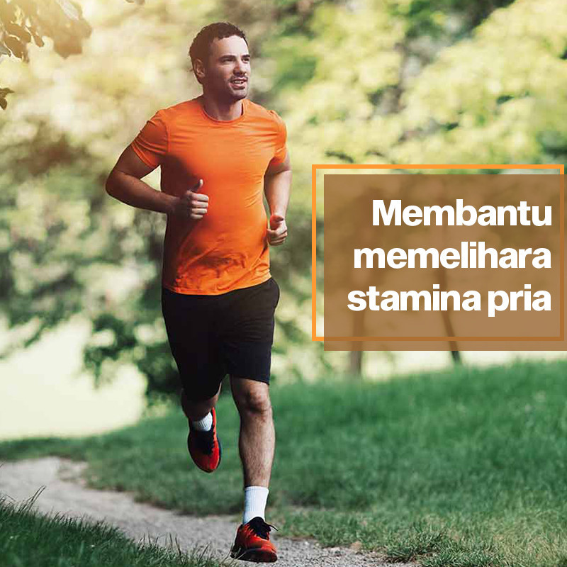 HERBAFORCE Ekstrak Tongkat Ali Obat Suplemen Herbal 30 / 60 Kapsul Memelihara Kesehatan Stamina Pria BPOM HALAL-3