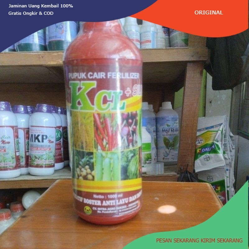 Pupuk Kcl cair semprot 1 lt bio kcl plus silika