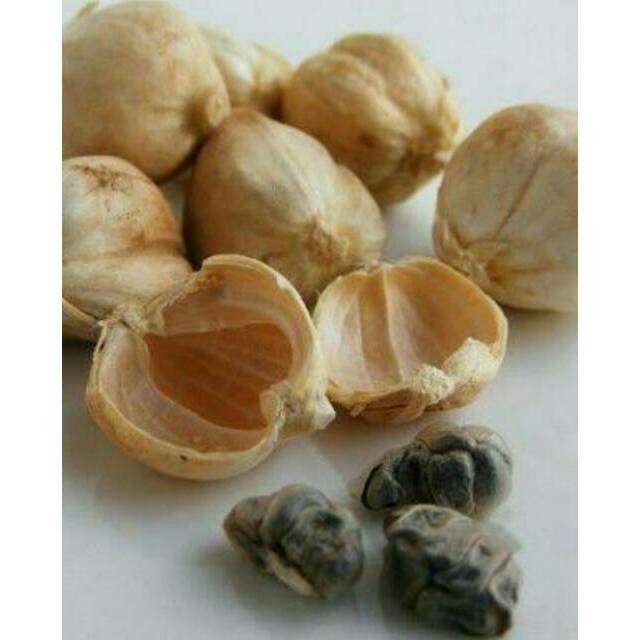 NEW Grosir Kapulaga kering 1kg 100% organik paling murah kapulogo lokal ....