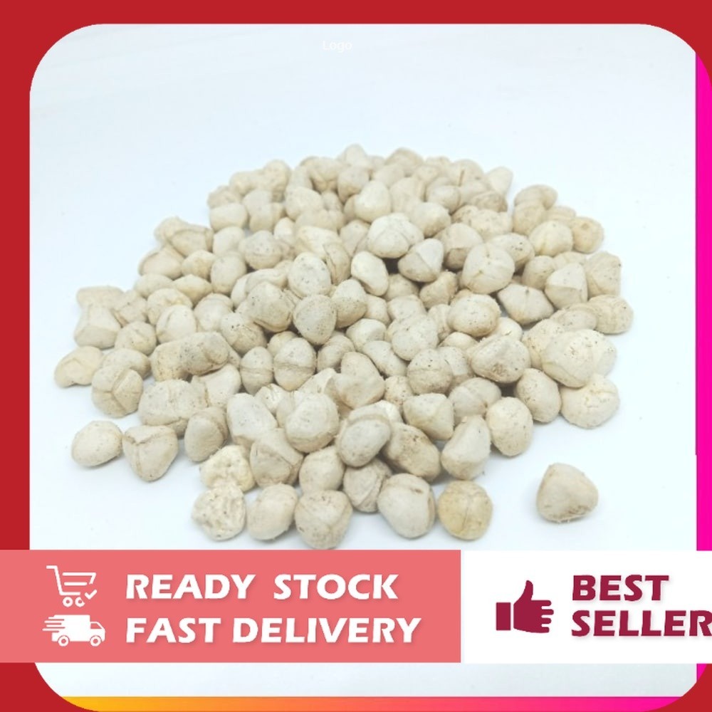 

Promo Murah OMH Terlaris [250g] Biji Kelor Kupas Atau Kernel Biji Kelor