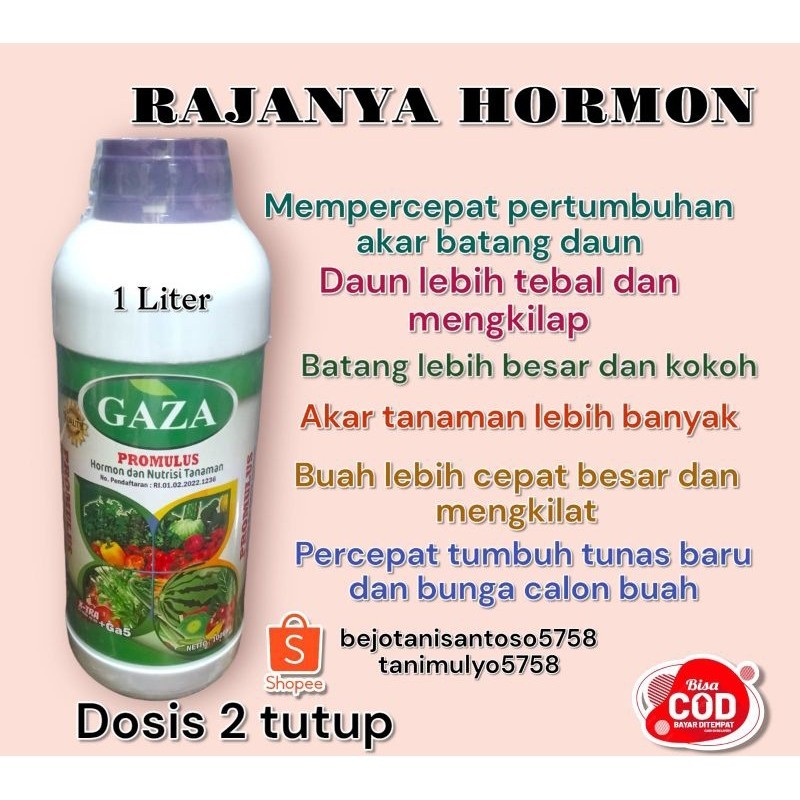 GAZA PROMULUS 1 Liter Rajanya Hormon Asam Amino Perimbun bunga dan buah tanaman pembesar buah dan um