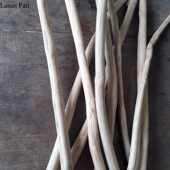 

Ranting Kayu Jati asli perhutani Hiasan Dekor prakarya/100 cm /Batang XD4