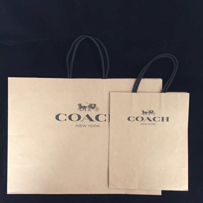 

SALECoach Paperbag - S