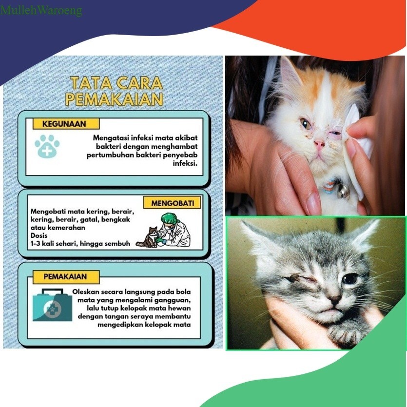 Terlaris Salep The Cat Obat Mata Kucing Clamidia Kitten dan Adult Salep Mata Kucing Ampuh