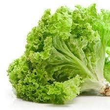 

Daun Selada Keriting Segar 250gr Medan - BEST Fresh Food