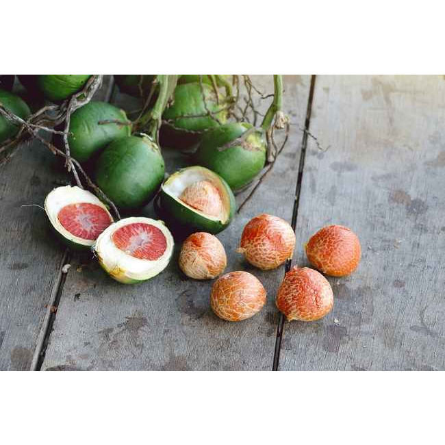 

Buah Pinang Atau Jambe Tua segar 500gram fresh