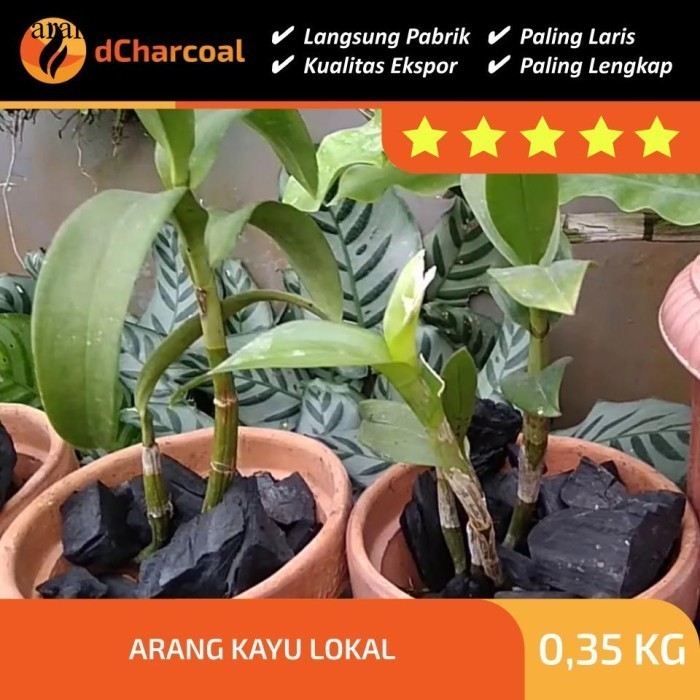 

Arang Kayu Media Tanam Hidroponik Anggrek murah