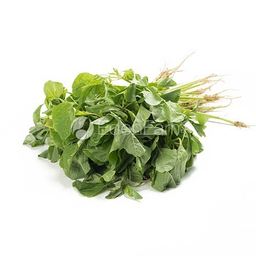 

Sayur Bayam Hijau (0.4 - 0.5 kg/ikat)