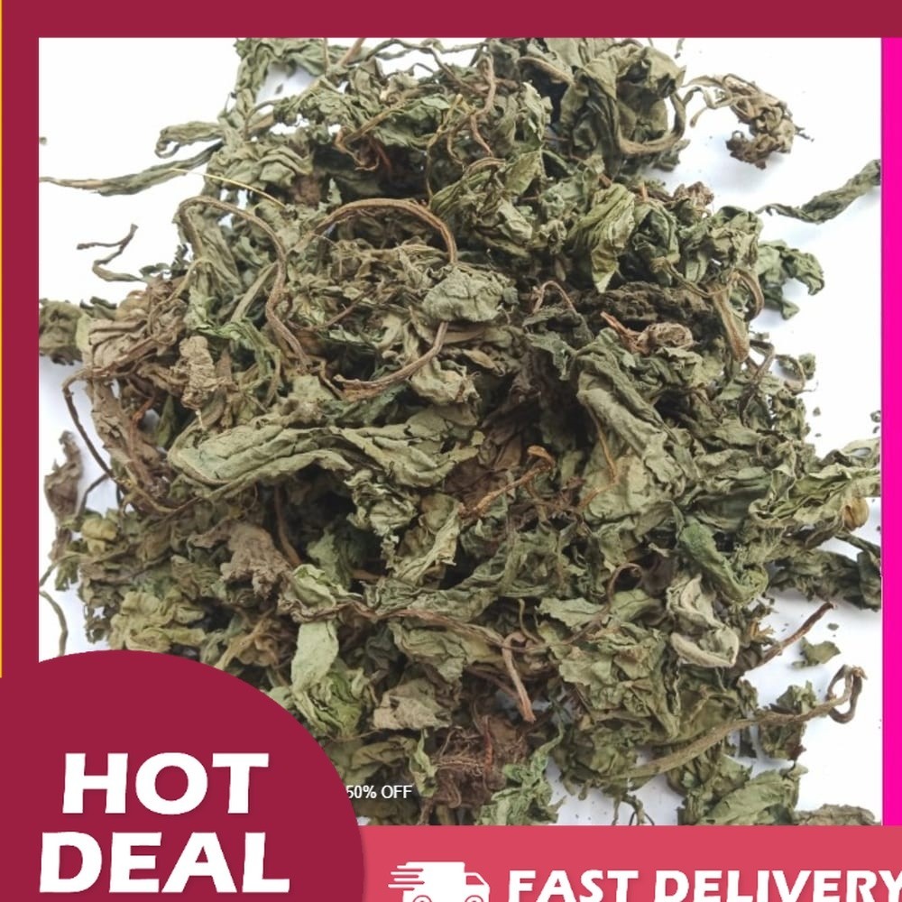 

Promo Murah OMH Terlaris [250g] Kering Daun Insulin Teh insulin Premium