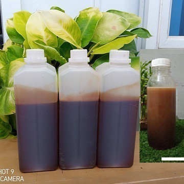 

Madu Sialang Nektar Dominan Akasia Carva Net 1kg