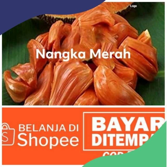 Bibit nangka merah super