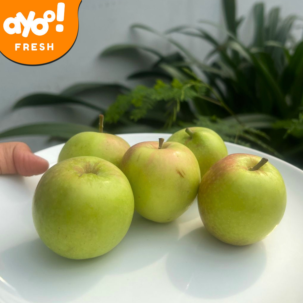

Apel Malang 1 kg