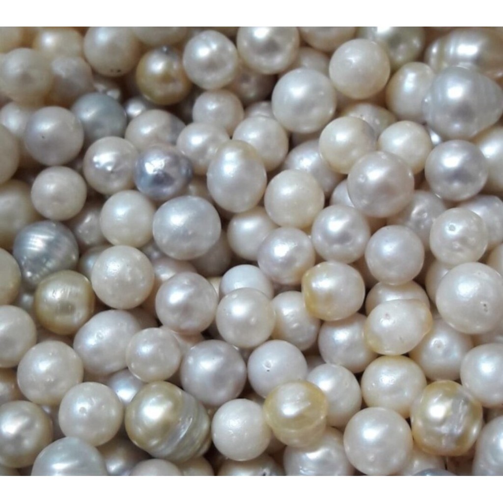 Butiran Mutiara laut asli