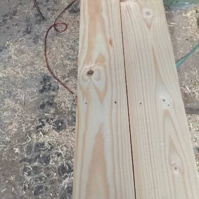Papan jati belanda 120