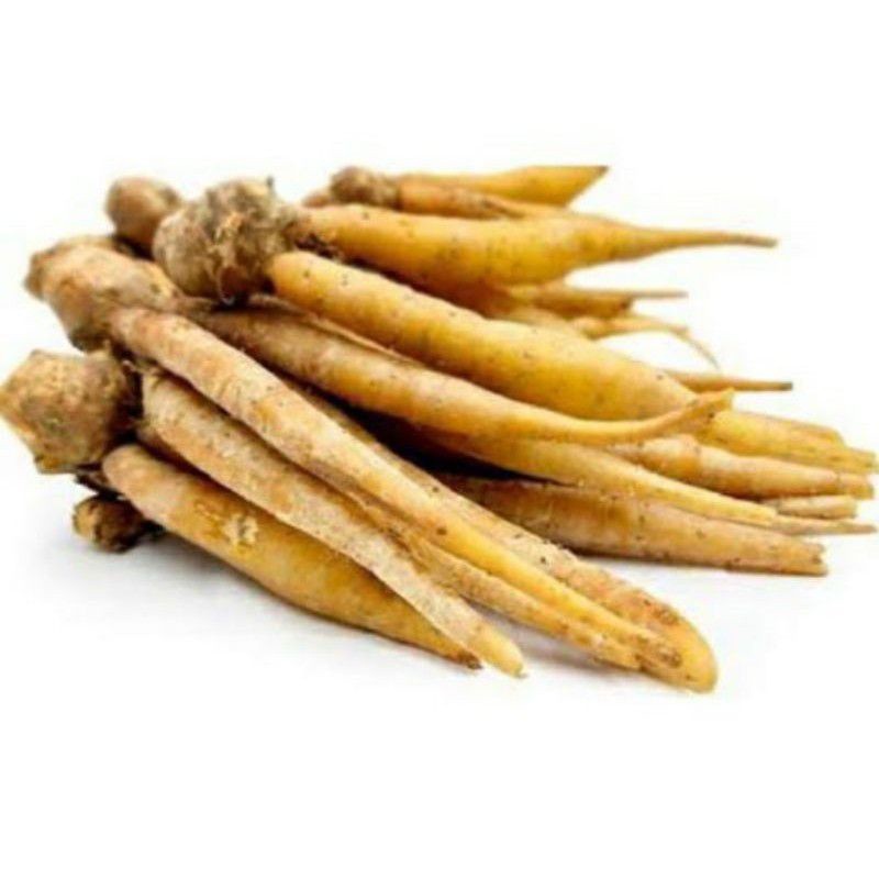 

Temu Kunci Fresh || 100gr - BEST Fresh food