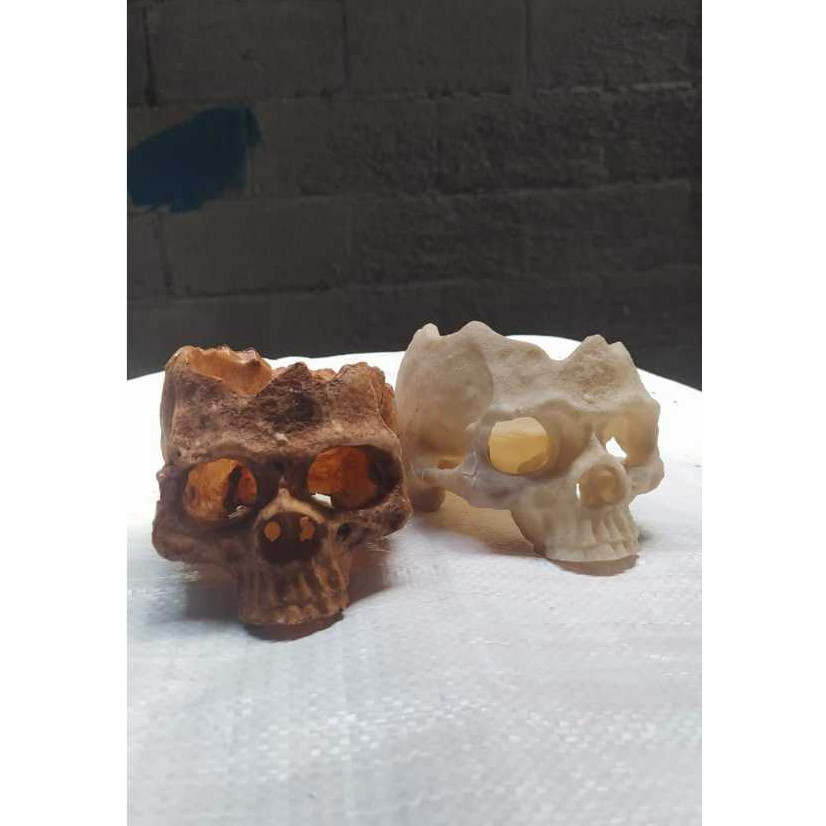 Hiasan Aquarium Tengkorak Asbak / Asbak Tengkorak