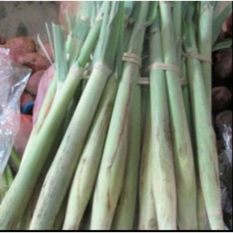 

turubuk sayur segar 500gram