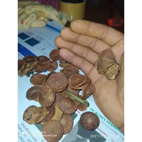 

PROMO pinang muda iris kering 500gram/jambe muda iris seperti koin KADAKA OLSOP02