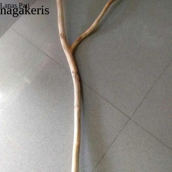

Ranting kayu jati cabang 50 cm - ranting kayu macrame-prakarya macrame FNX111 XD7