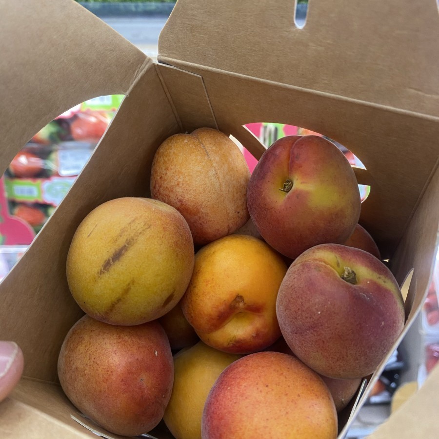 

Buah Apricot Fresh Australia Box / Apricot Vigliaturo Australia 500grm - BEST Fresh Food