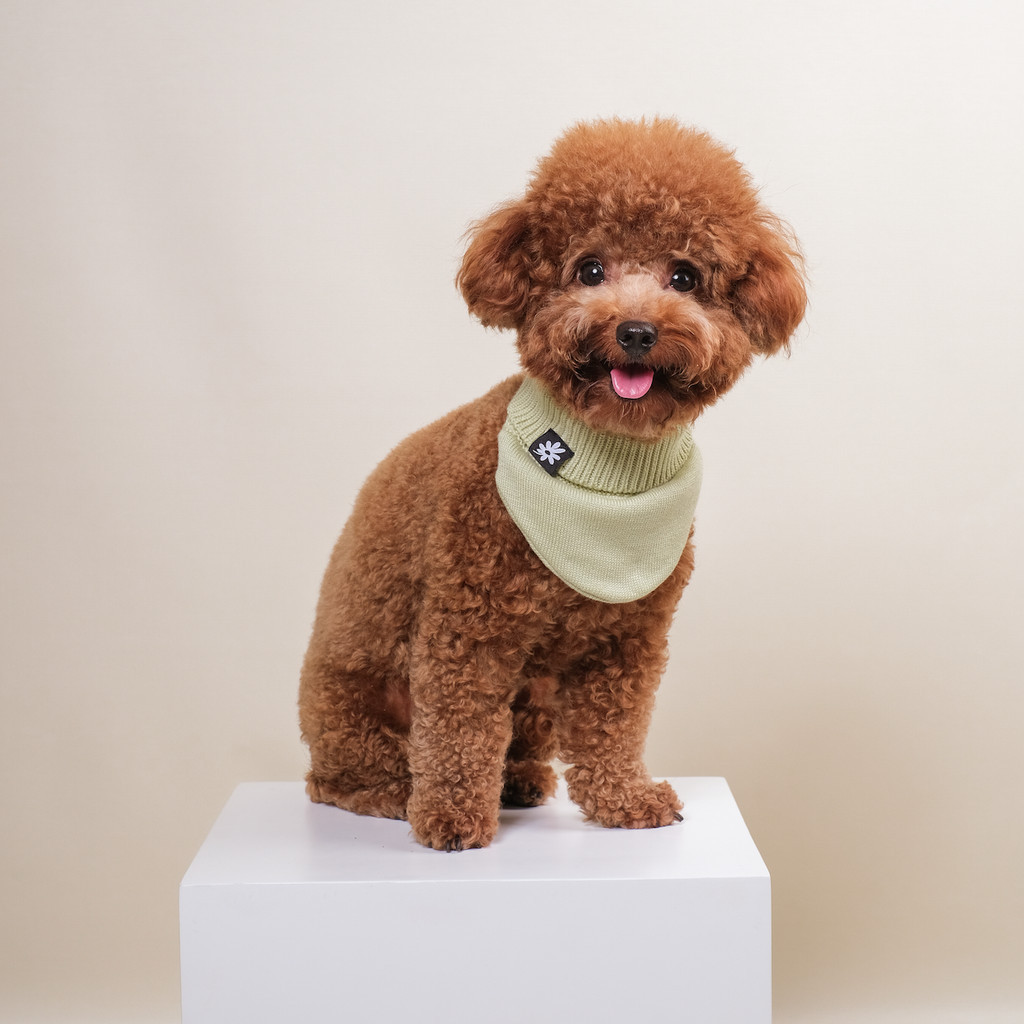 Noir Sur Blanc Pet Rocky Bandana Matcha