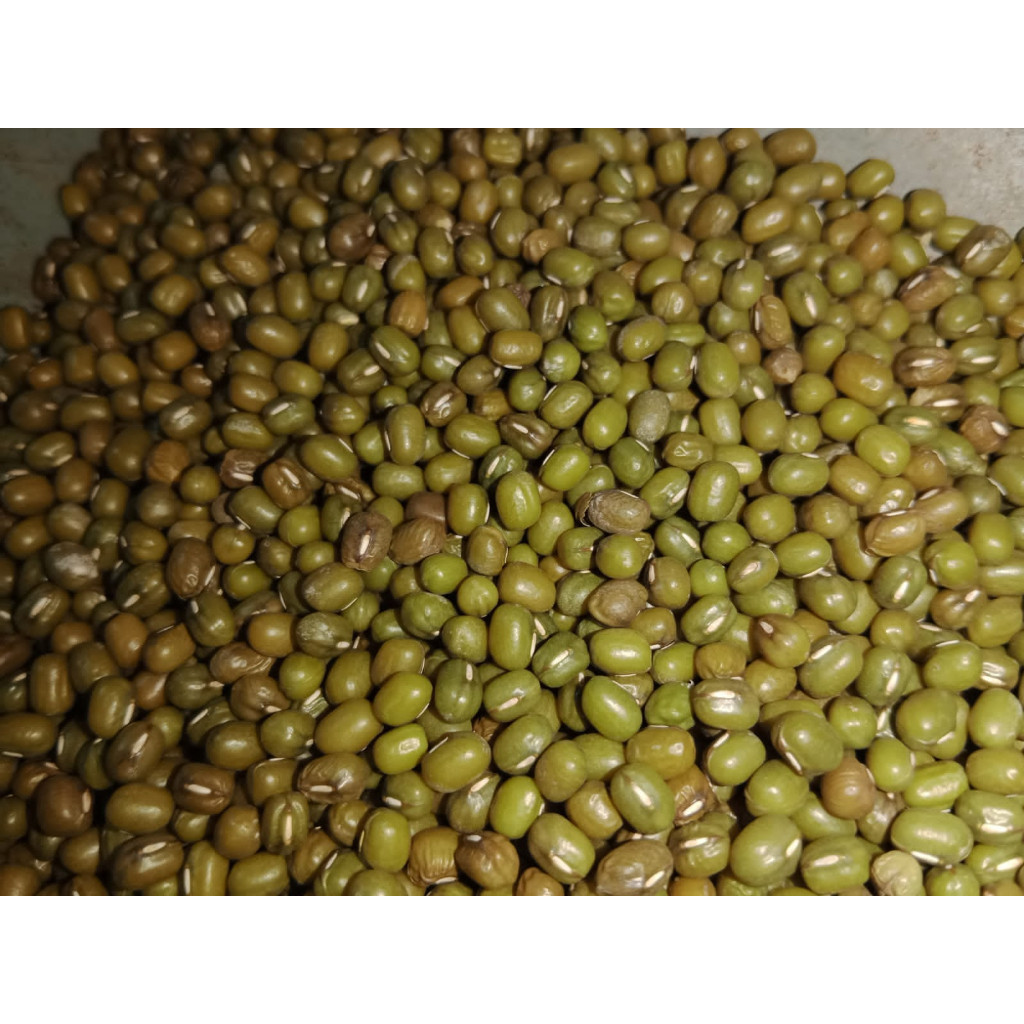 

Kacang Hijau Import 1 Kg