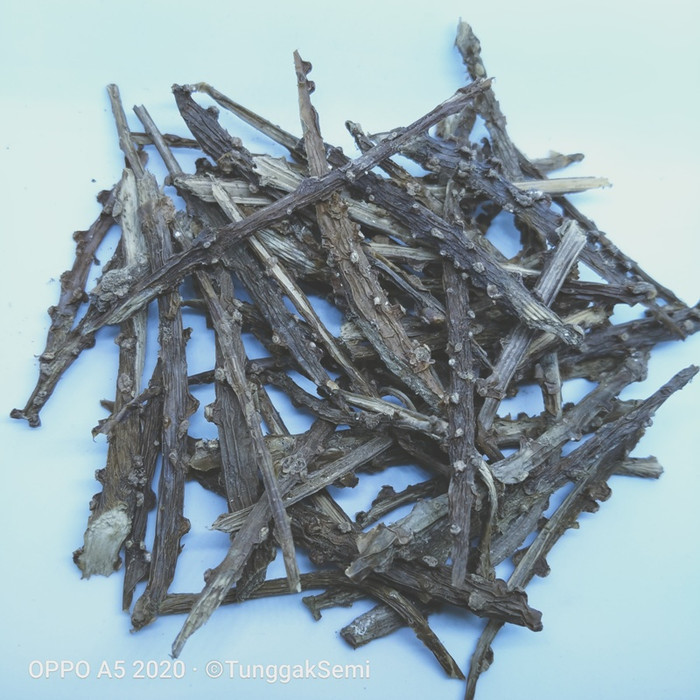 

OMH Terlaris [ 250 gr ] brotowali atau putrowali kering premium MURAH