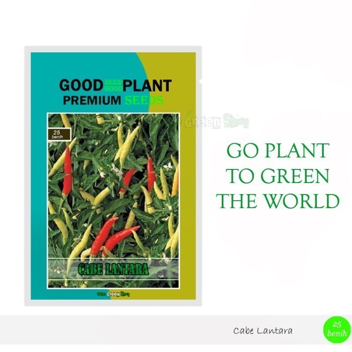 PREMIUM SEED - 25 Biji Benih Bibit Cabe Lentera Rawit Putih Setan F1