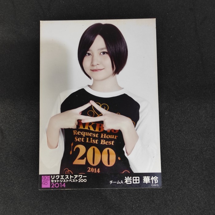 Photopack Iwata Karen AKB48 2014