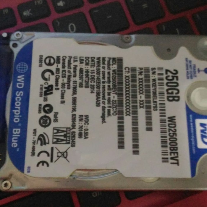 hardisk hdd laptop 250gb