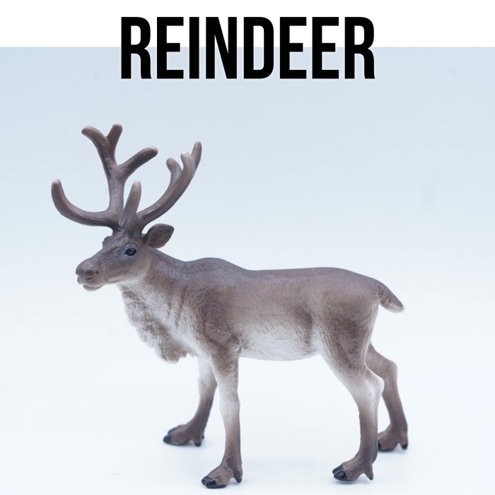 KORI Reindeer Karibu Rusa Caribou Rangifer Tarandus Mainan Figure Binatang Miniature Hewan Animal Fi