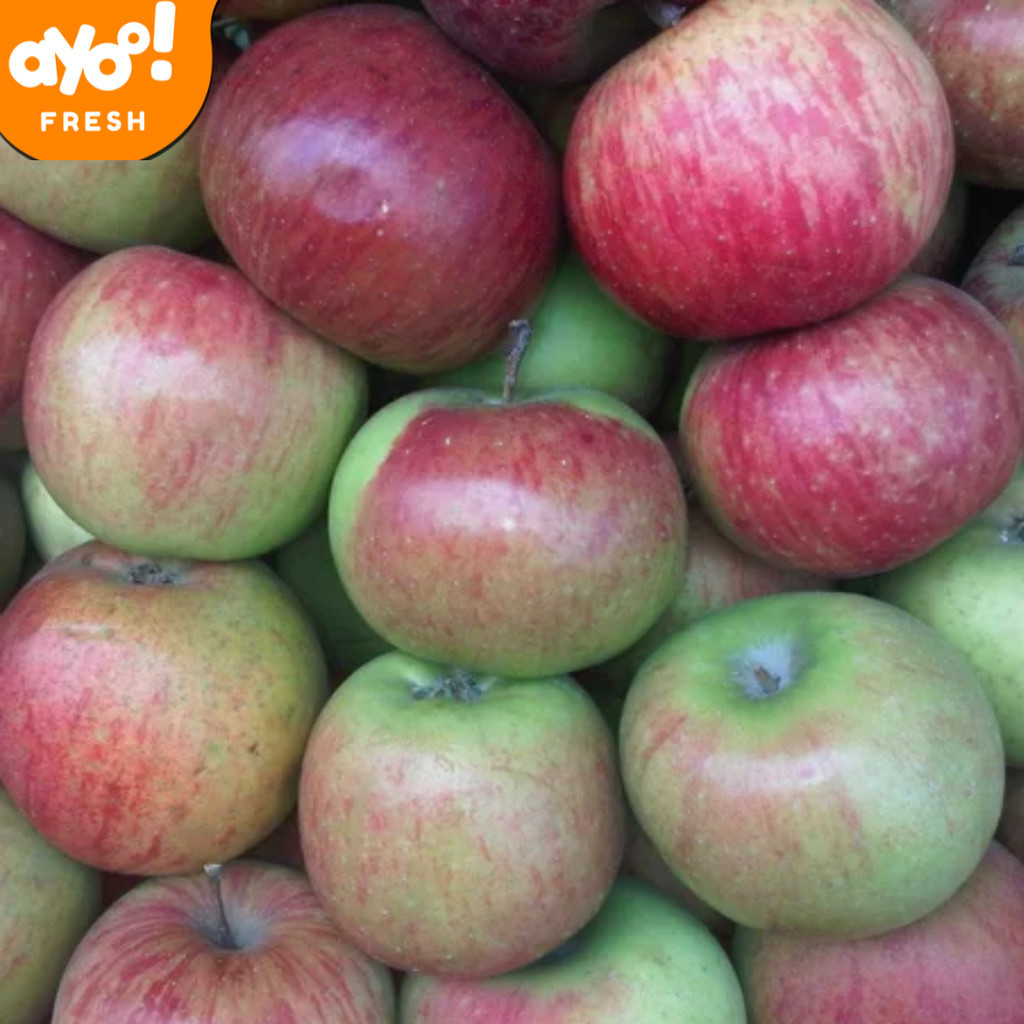 

Apel Rome Beauty 1 kg