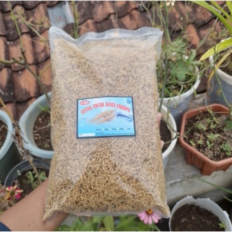 

CETUL TERI CRISPY AIR TAWAR 500gr ENAK GURIH BERGIZI