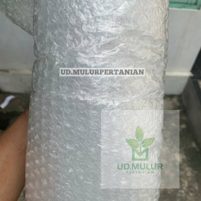 

BUBBLE WARP untuk tambahan packing barang agar lebih aman