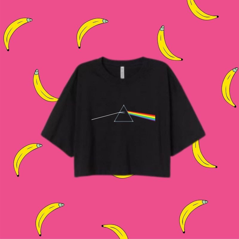 crop top PINK FLOYD / crop tee band / crop top korea / Kaos crop top / kaos wanita oversize / kaos v