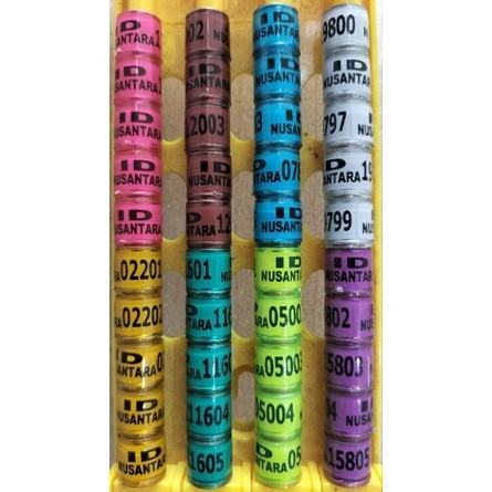 RING BURUNG MERPATI PIGEON MERPATI POS RACING ID NUSANTARA