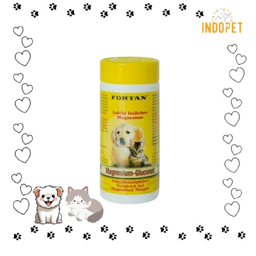 FORTAN MAGNESIUM-GLUCONAT 90GR / Fortan Magnesium Gluconat for Dog Cat 90 gr - Vitamin Jantung