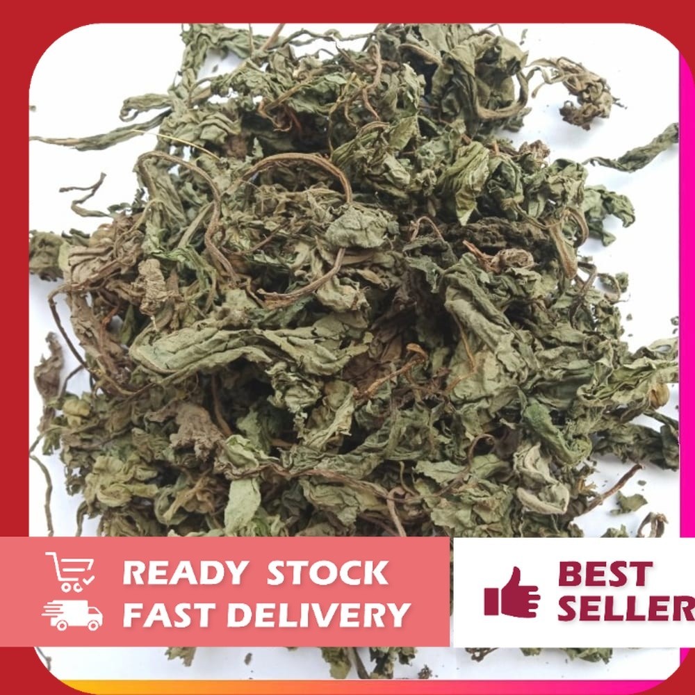 

Promo Murah OMH Terlaris [1kg] Kering Daun Insulin Teh insulin Premium
