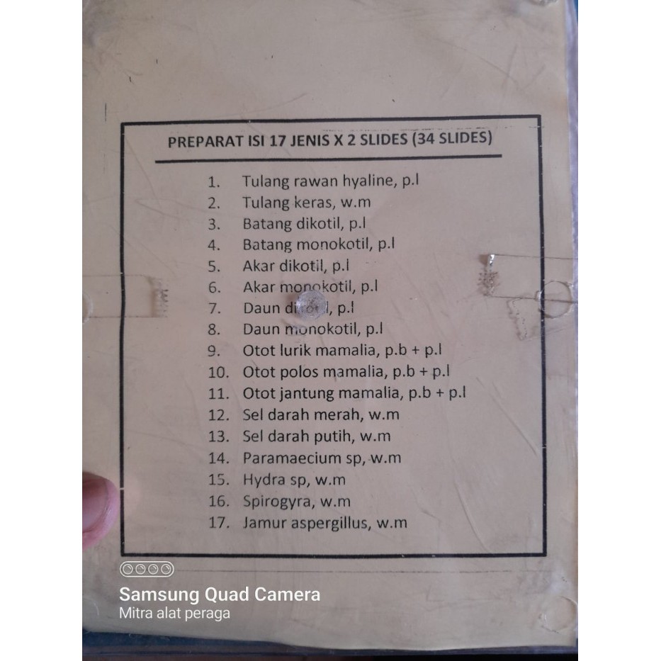 PROMO ~ Preparat Kering 17 Macam / Set Preparat awetan BIOLOGI