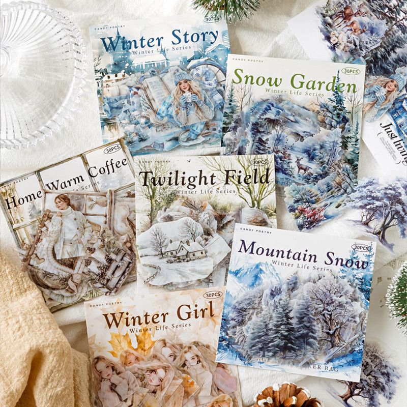 

Mr. Paper 6Style 30Pcs/bag winter life series sticker pack DIY material handbook journal card phone case decoration