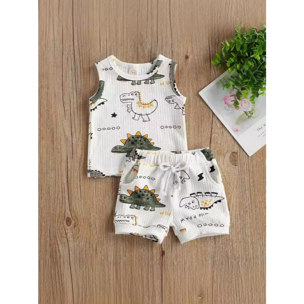 BAJU SETELAN ANAK LAKI LAKI DINOSAURUS